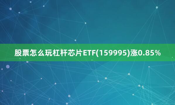 股票怎么玩杠杆芯片ETF(159995)涨0.85%