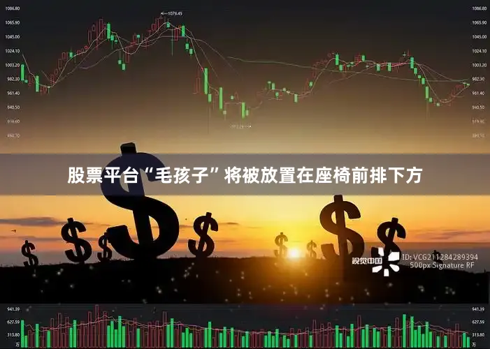 股票平台“毛孩子”将被放置在座椅前排下方