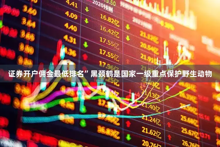 证券开户佣金最低排名”黑颈鹤是国家一级重点保护野生动物