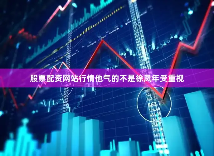 股票配资网站行情他气的不是徐凤年受重视