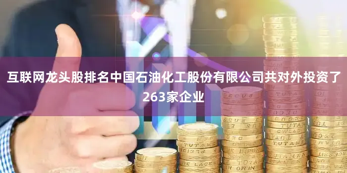 互联网龙头股排名中国石油化工股份有限公司共对外投资了263家企业